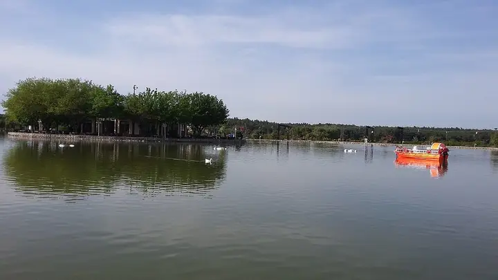 Buca Pond - Buca