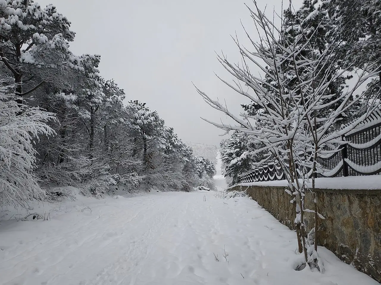 Çekmeköy Forests - Çekmeköy