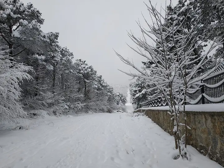 Çekmeköy Forests - Çekmeköy