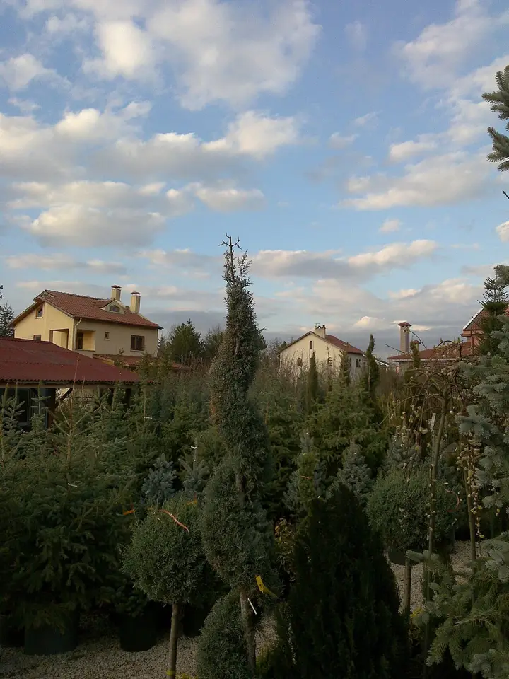 Долина Инджек - Гёльбаши