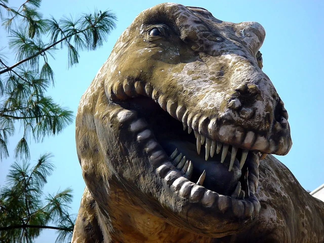 Darıca Faruk Yalçın Zoo and Botanical Park - Darıca