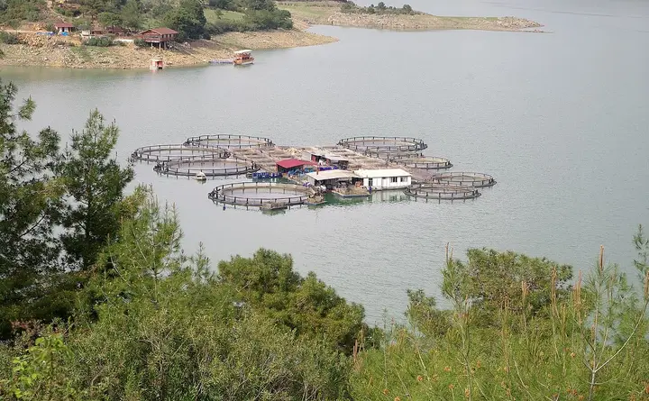 Kozan Dam - Kozan