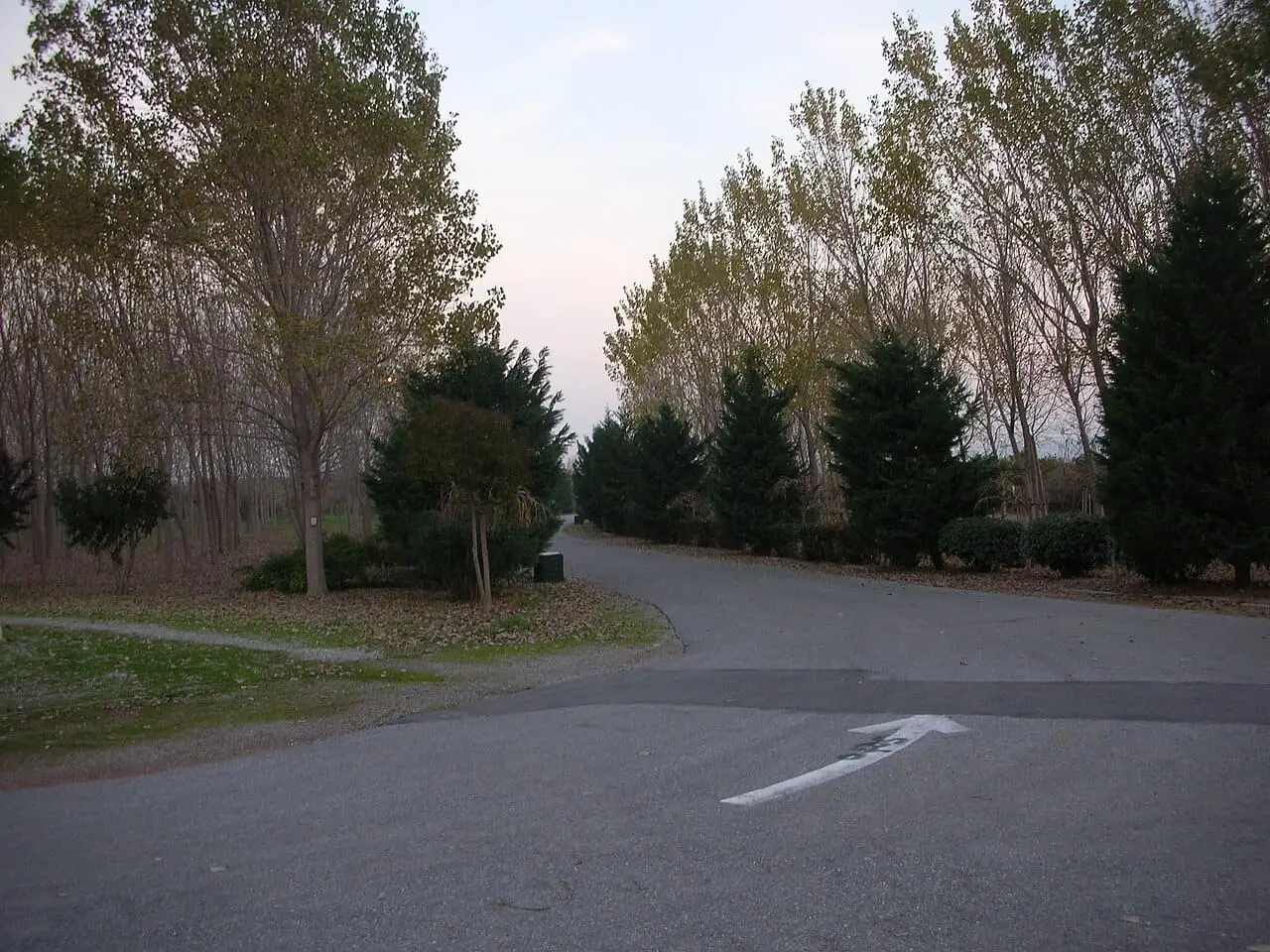 İnciraltı City Forest - Balçova