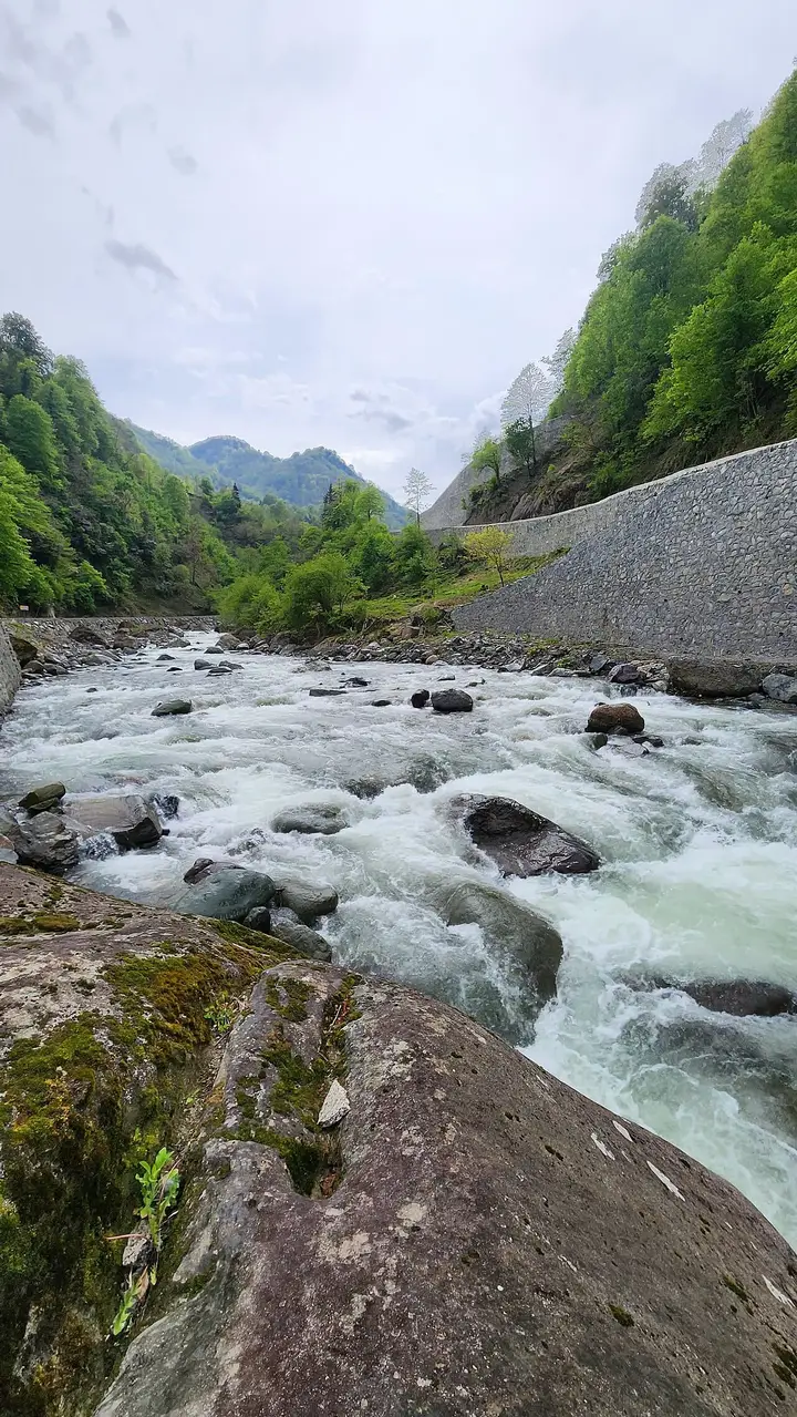 Kamilet Valley - Arhavi