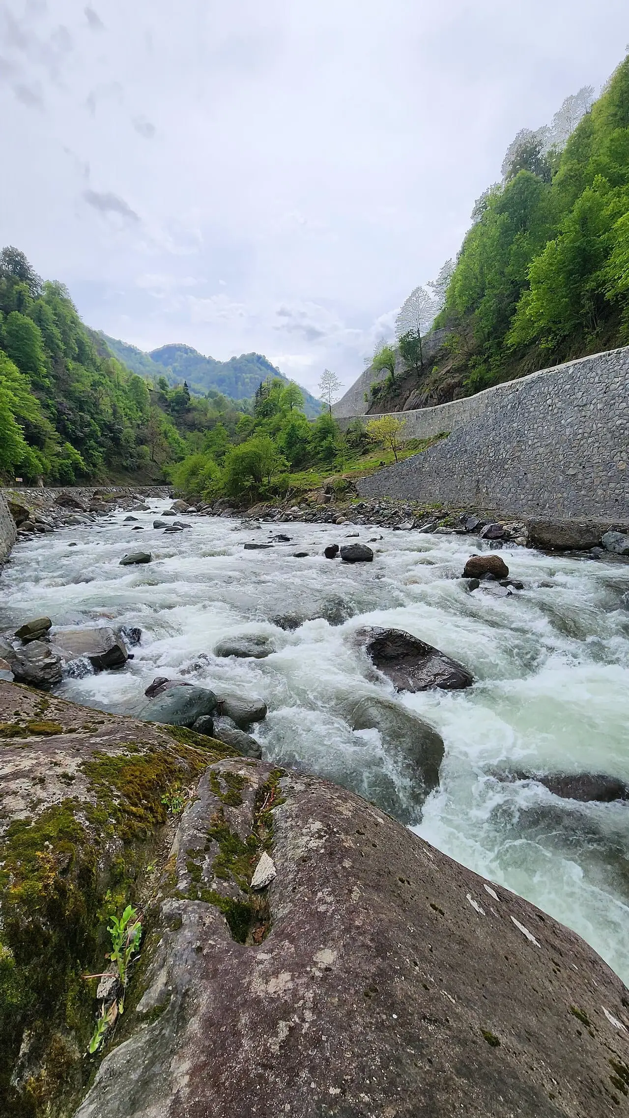 Kamilet Valley - Arhavi