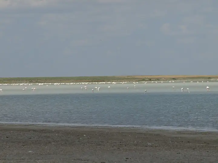Lake Seyfe
