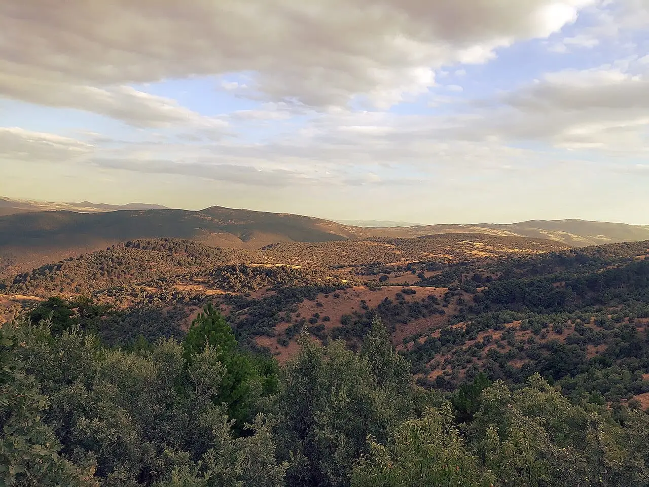 Soğuksu National Park - Kızılcahamam