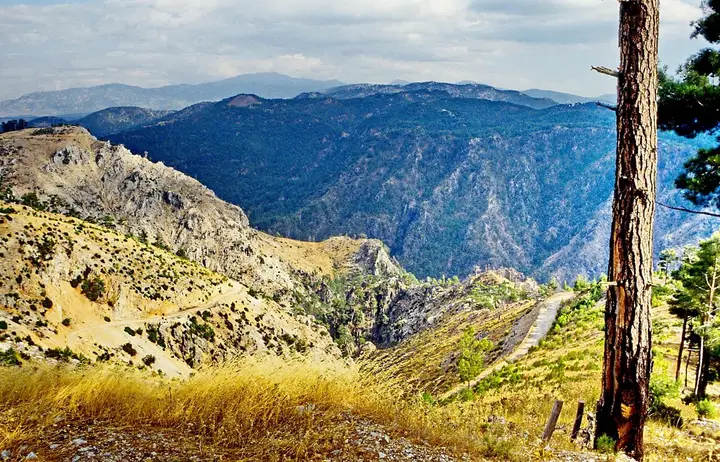 Menteşe Plateau - Kavaklıdere