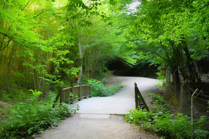 Polonezköy Nature Park - Beykoz