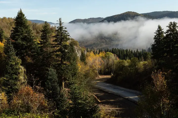 Küre Mountains National Park - Küre