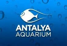 Antalya Aquarium - Konyaaltı