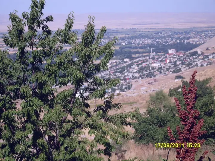Çınar Plain - Çınar