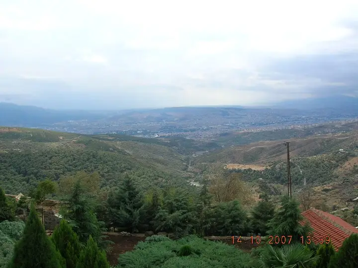 Homer Valley - Bornova