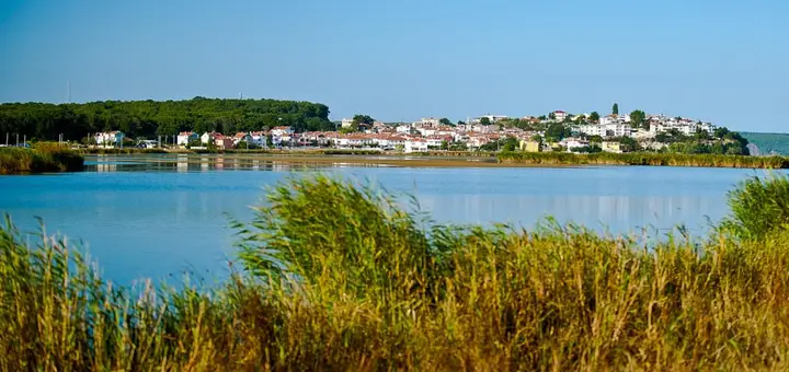 Longozdan İğneada