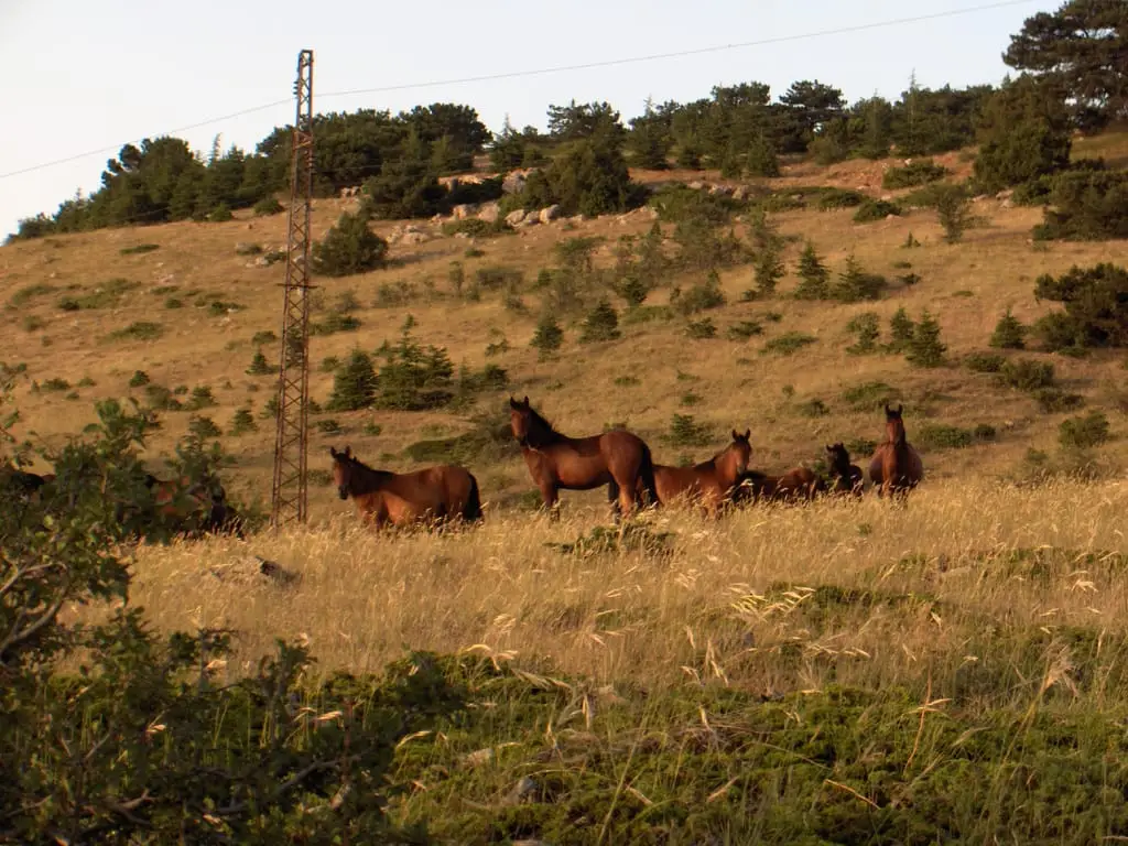 Mount Spil National Park - Yunusemre