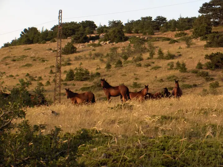 Mount Spil National Park - Yunusemre
