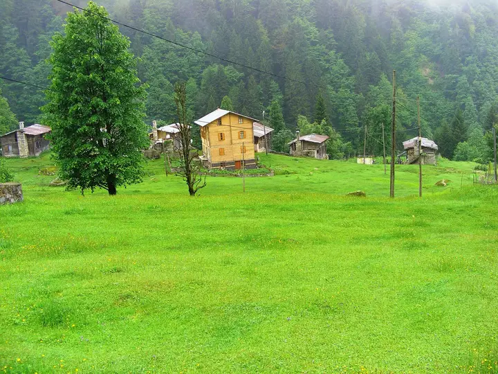 Ayder Yaylası