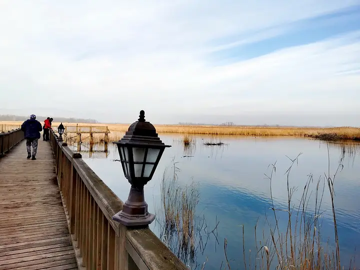 Efteni Lake - Gölyaka