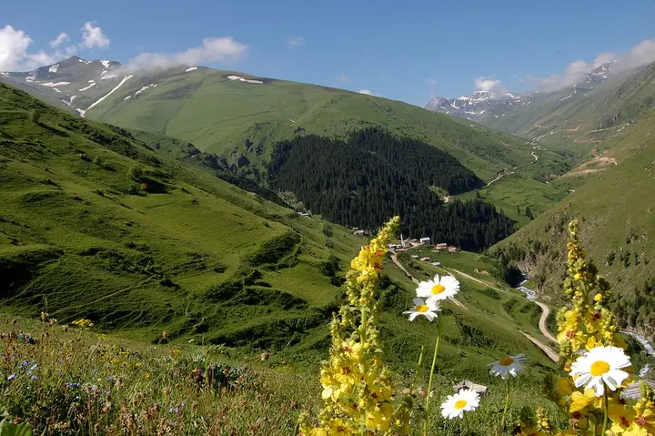 Anzer Plateau - İkizdere