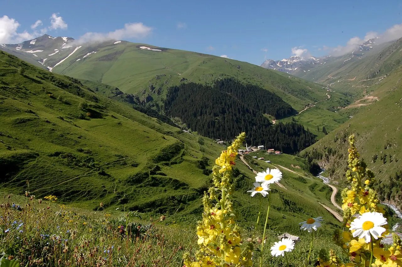 Anzer Plateau - İkizdere