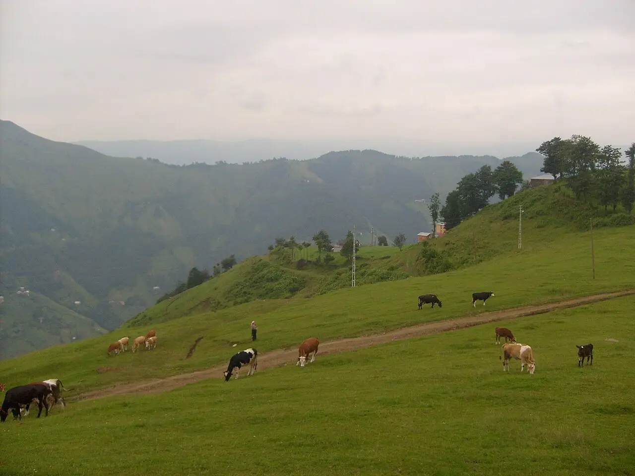 Şalpazarı (Trabzon) general view