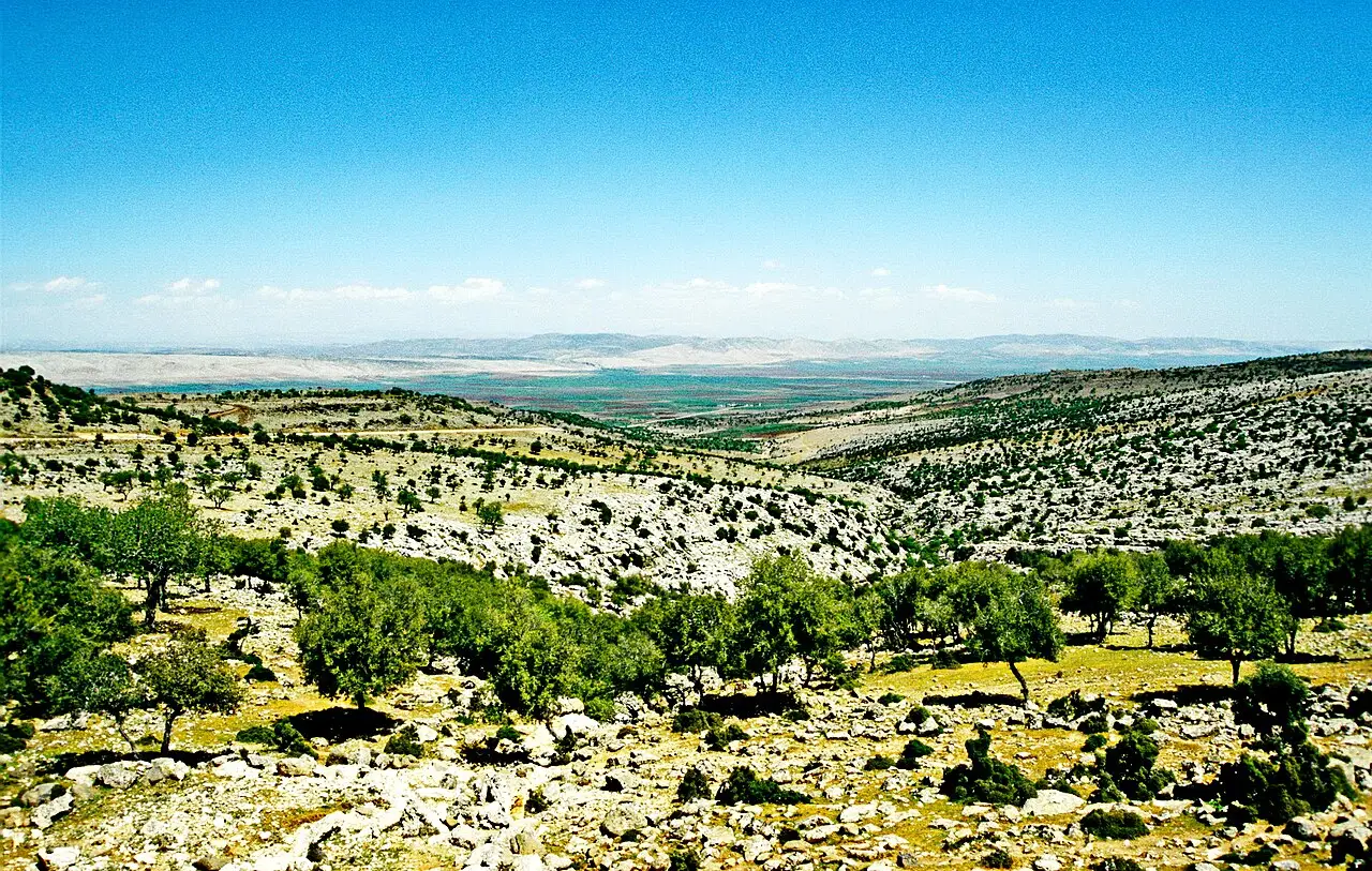 Altıntaş (Kütahya) general view