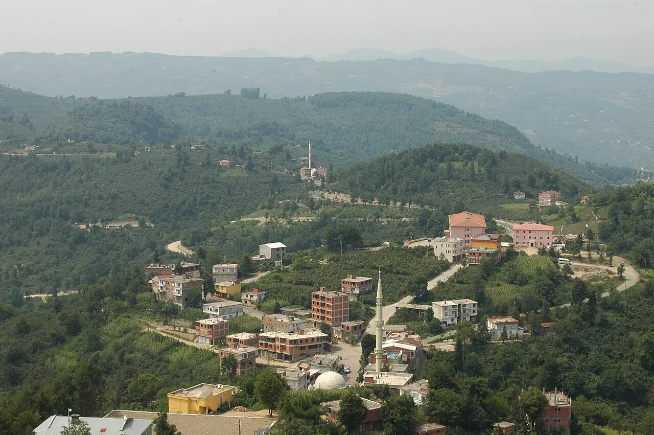 General view of Çamaş (Ordu)