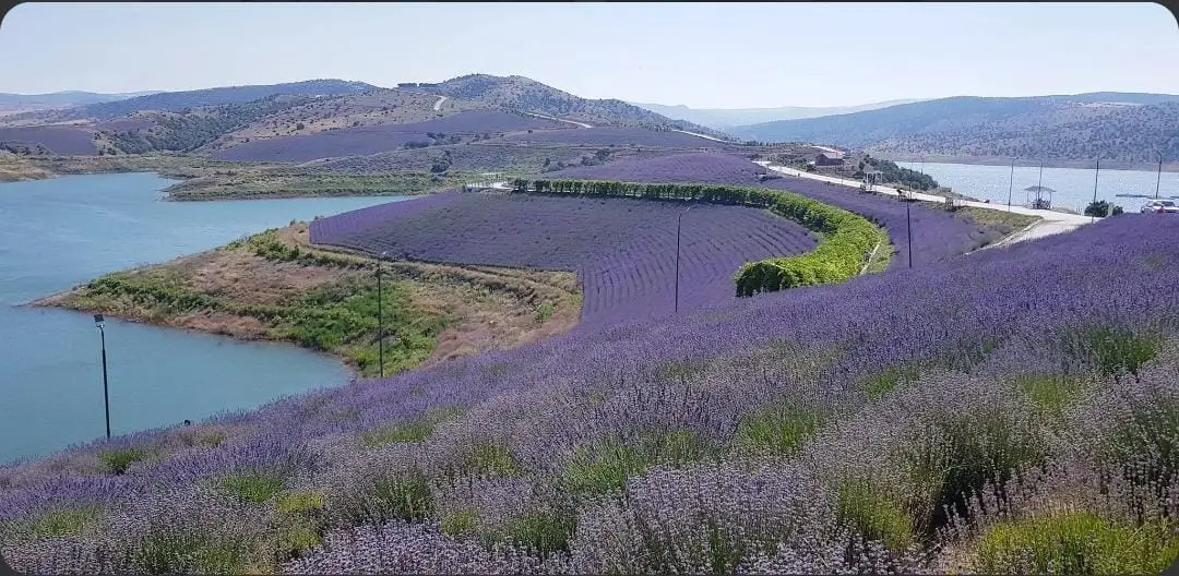 Çekerek (Yozgat) general view