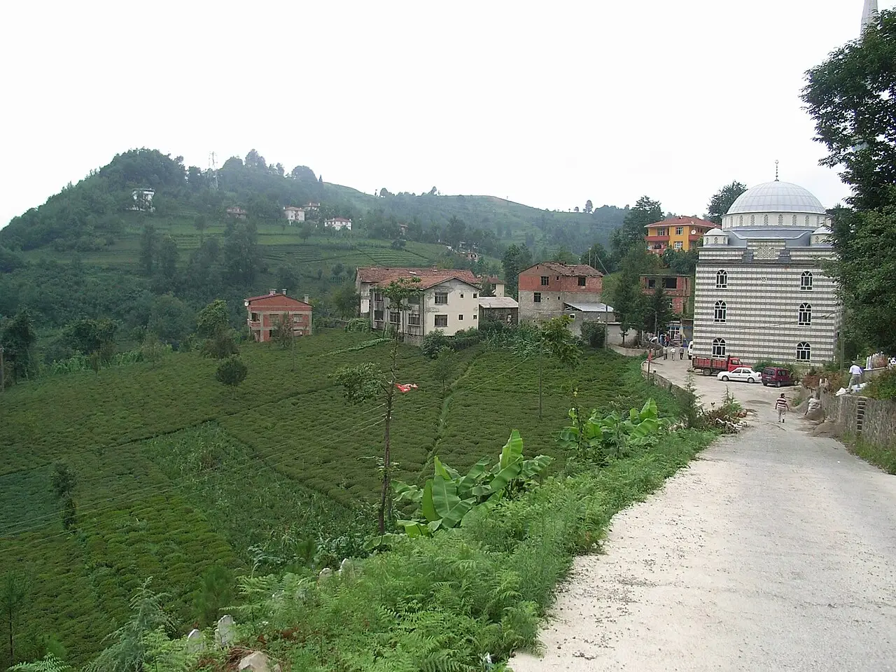 Hayrat (Trabzon) general view