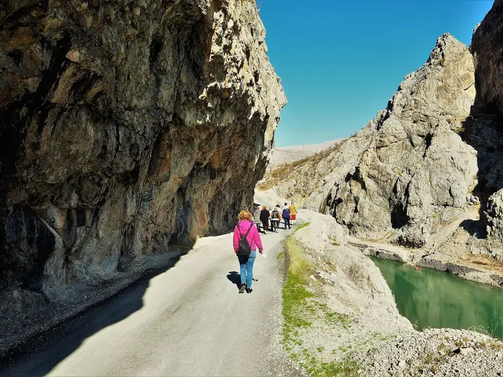 Taş Yol ve Karanlık Kanyon