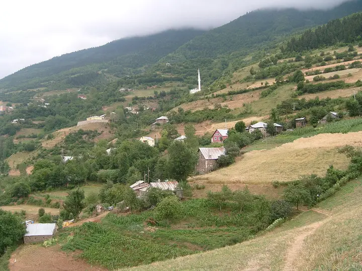 Аракёй в Кюртюне