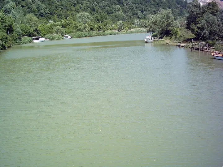 Bartın River - Merkez