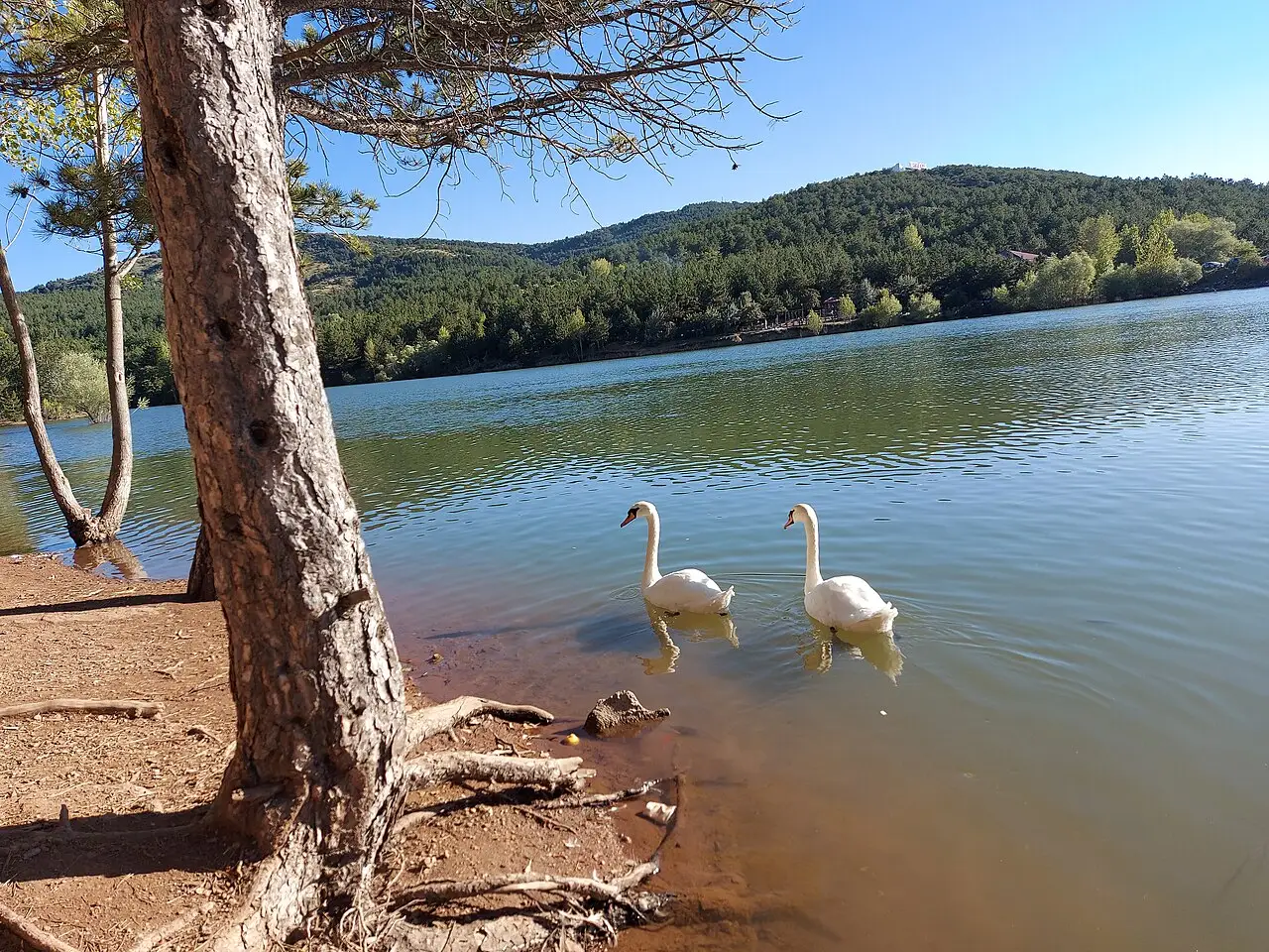 Yozgat Çamlığı National Park - Merkez