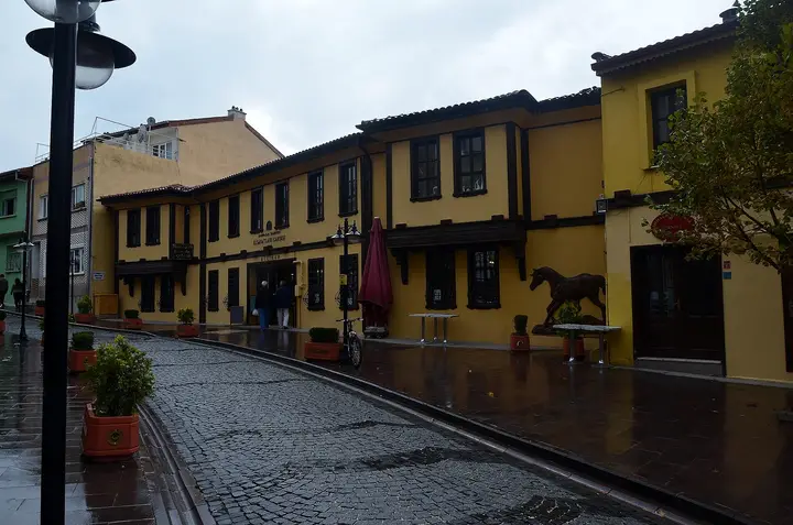 Odunpazarı houses