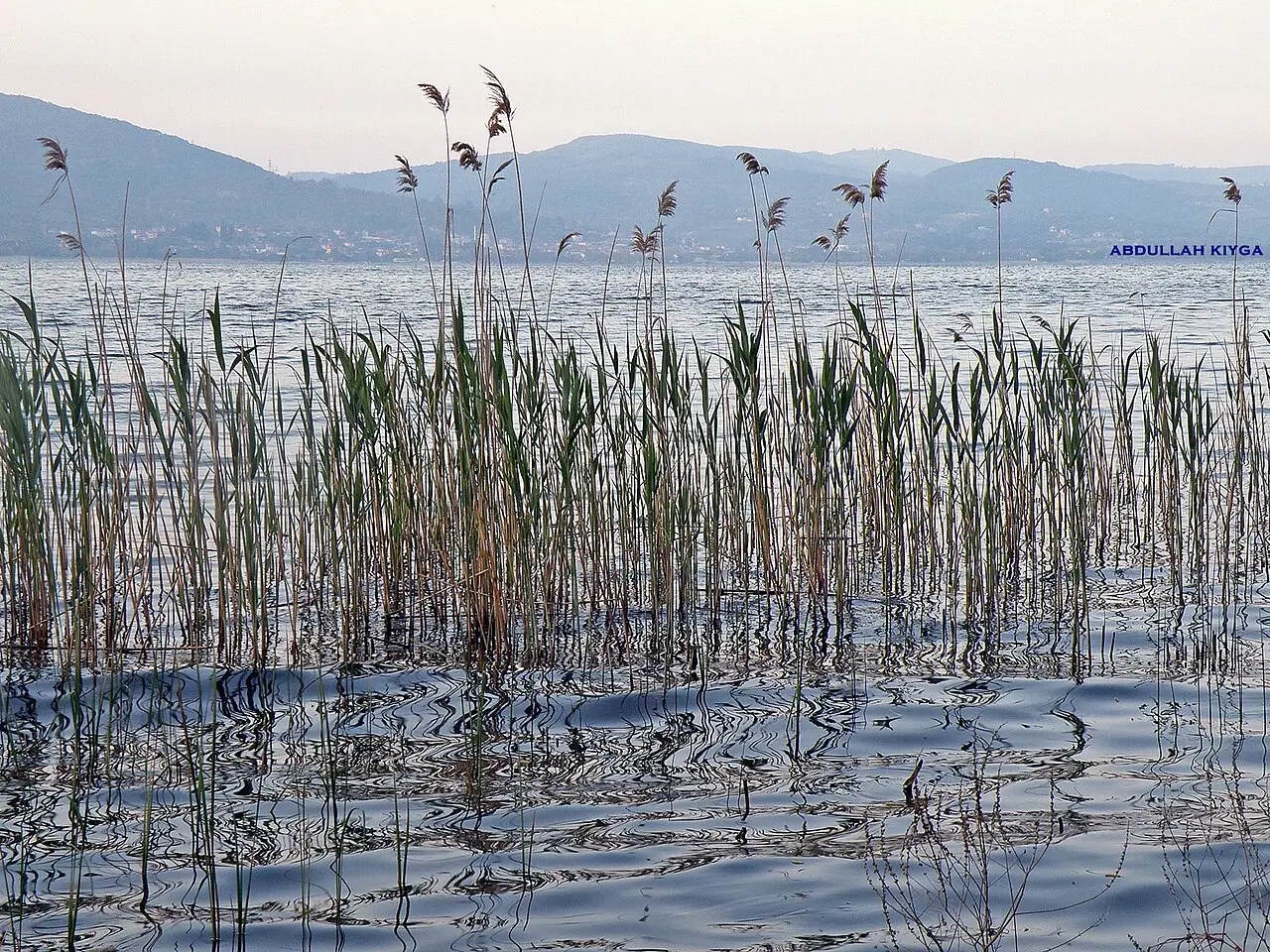 Sapanca Lake - Sapanca